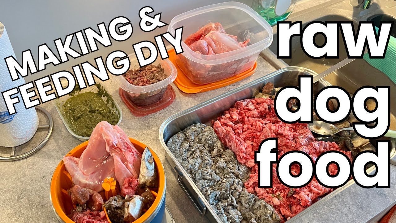 What's In Our DIY Raw Dog Food & Raw Feeding Video