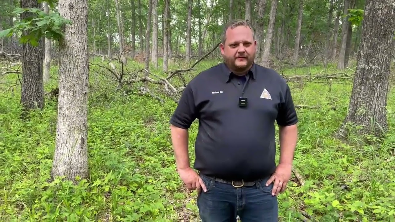 Habitat Hints - Timber Stand Improvement