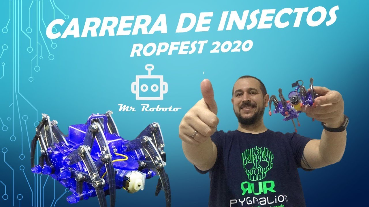 Carrera de Insectos (Resumen) - RopFest 2020 🤖