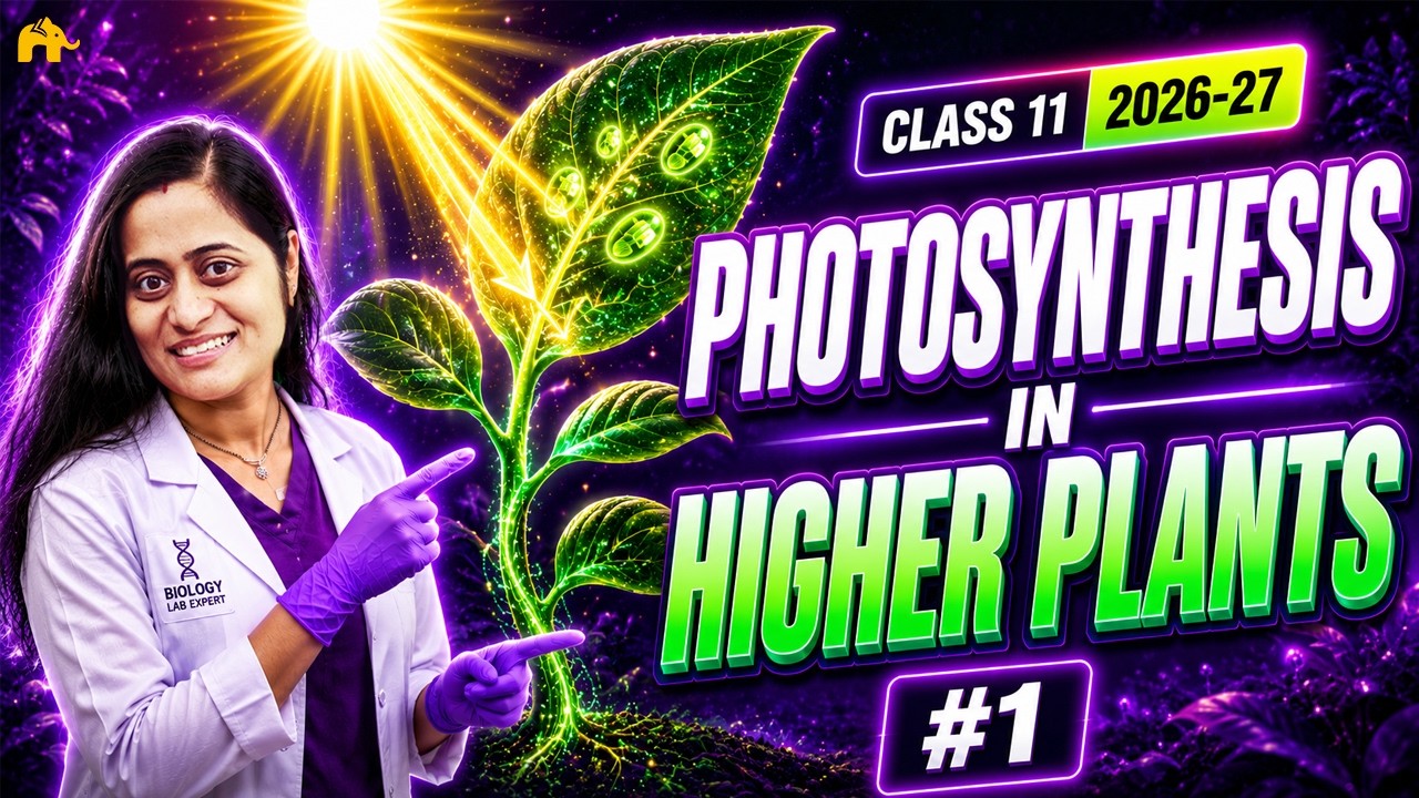 Photosynthesis in higher plants Class 11 Biology | Part 1 with Roshni Mam #concepthogacrystalclear