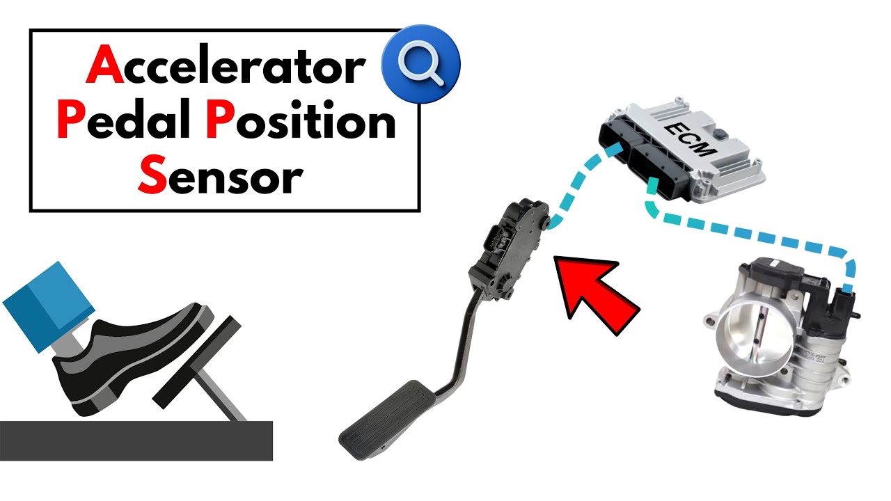 Understanding the Function and Operation of the Accelerator Pedal Position (APP) Sensor