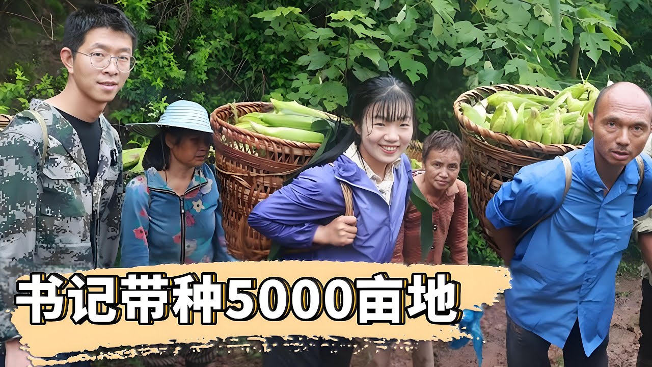 春耕開始了種田吧年輕人！小張書記帶種5000畝地，全民投入太熱鬧了！ 【燕麥行遊】#Farm #tour
