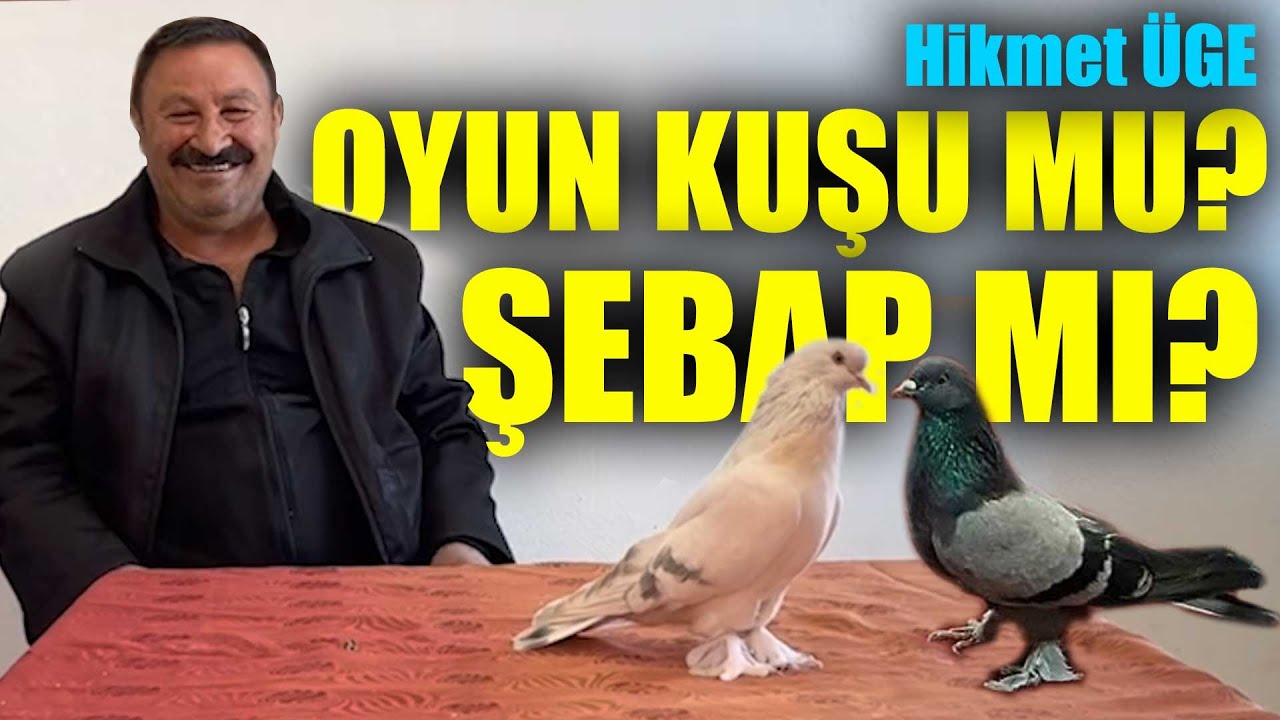 OYUN KUŞU MU? ŞEBAP MI? Hikmet Üge ile Kürenk Kulübü
