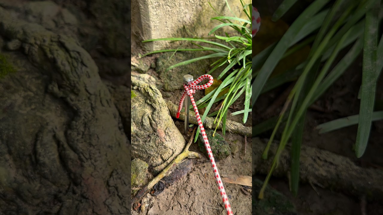 Easy Rope Knot That Holds Tight | Step-by-Step Knot Tutorial #survival #lifehacks #knot