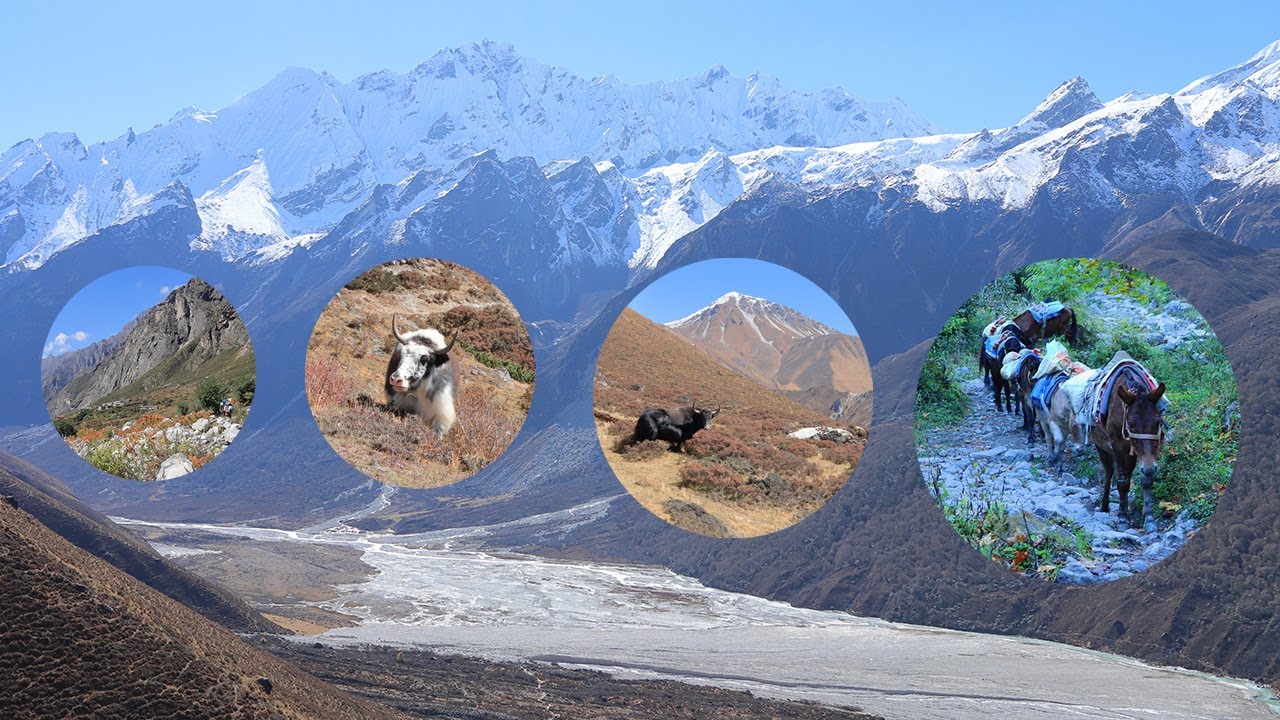 Photo Album: Langtang