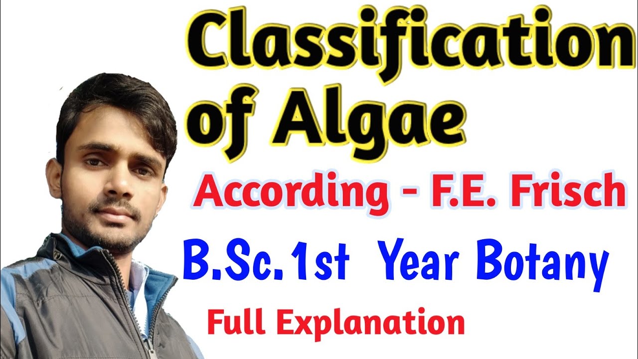 Classification of Algae (According F. E. Frisch) B.Sc.1st Year Botany |by- Prahalad Sir