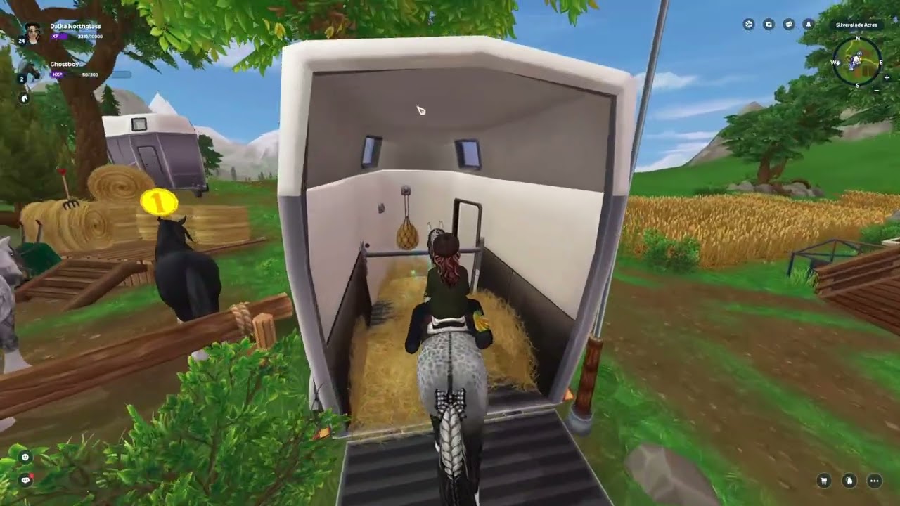The new Connemaras!!! |Star Stable Online|
