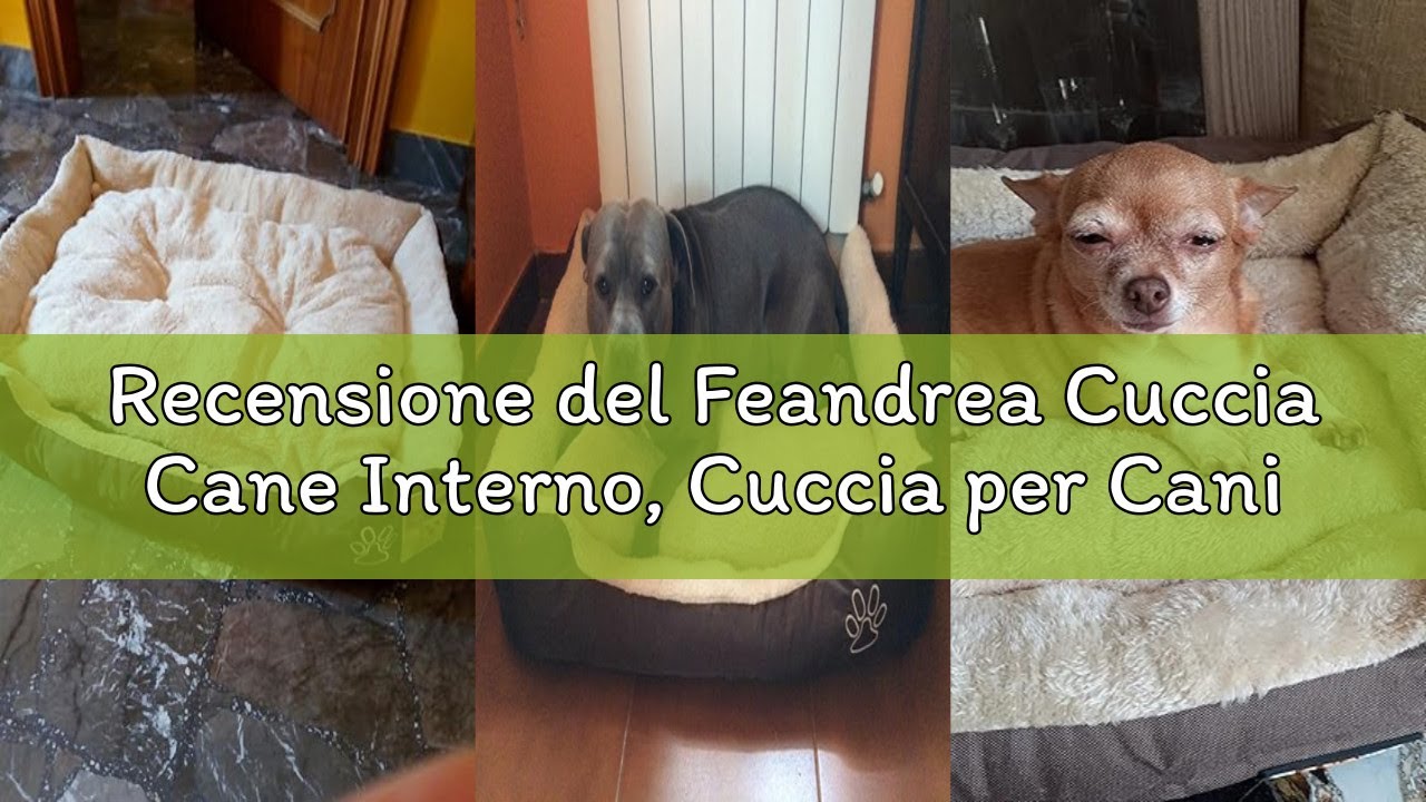 Recensione del Feandrea Cuccia Cane Interno, Cuccia per Cani e Animale Domestico, Tappeto Rimovibile
