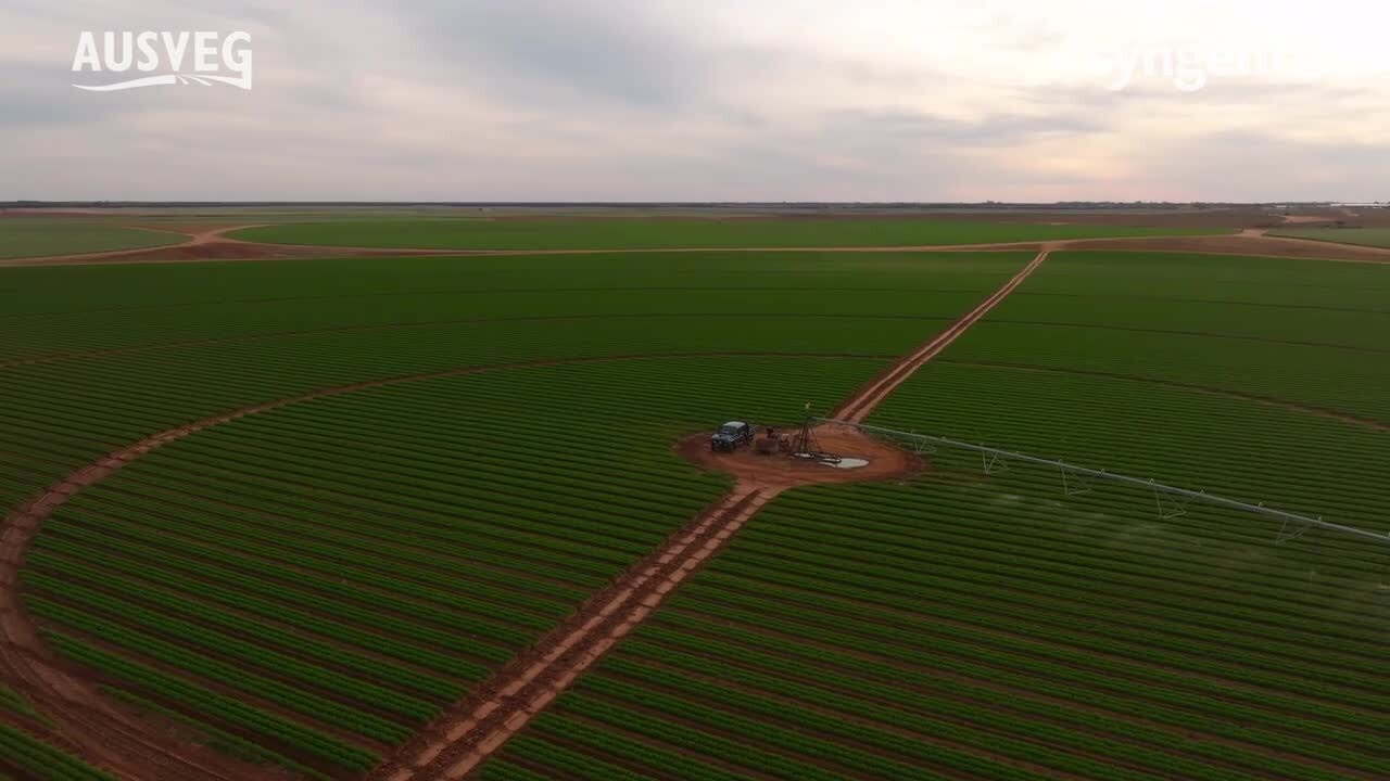 Carrot growing legacy strives for zero waste and maximum passion