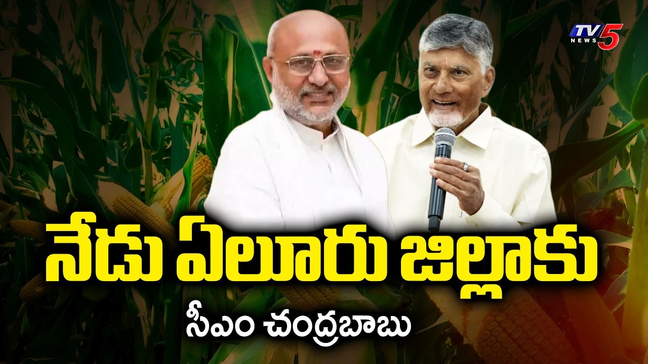 CM Chandrababu To Launch innovative maize seed together with Vice President Radhakrishnan In Eluru