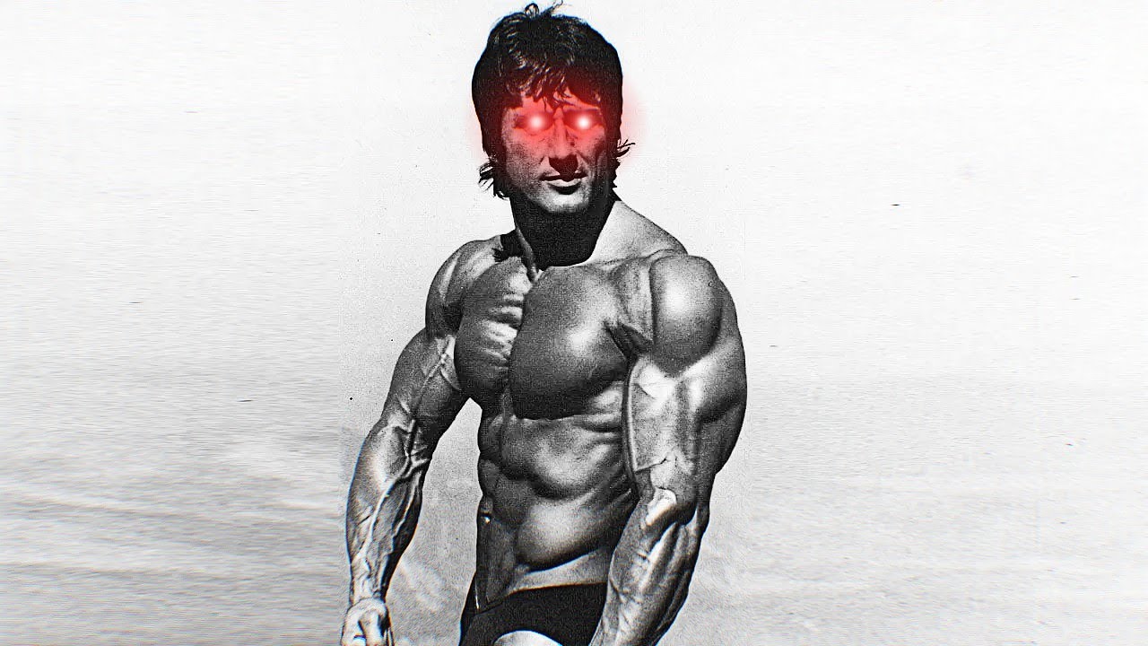 FRANK ZANE - BORN TO DIE - HARDSTYLE