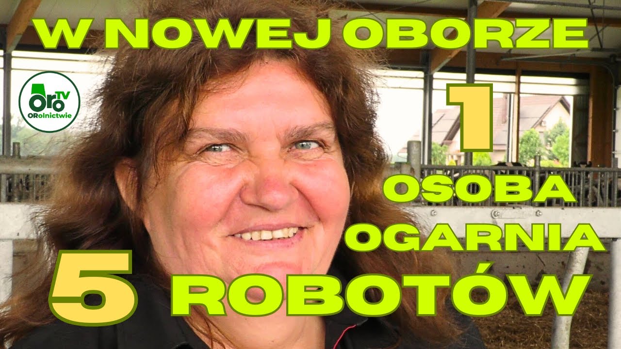 Kobieta obsłuży 250 krów w półtorej godziny. Najpiękniejsza obora w Polsce? 