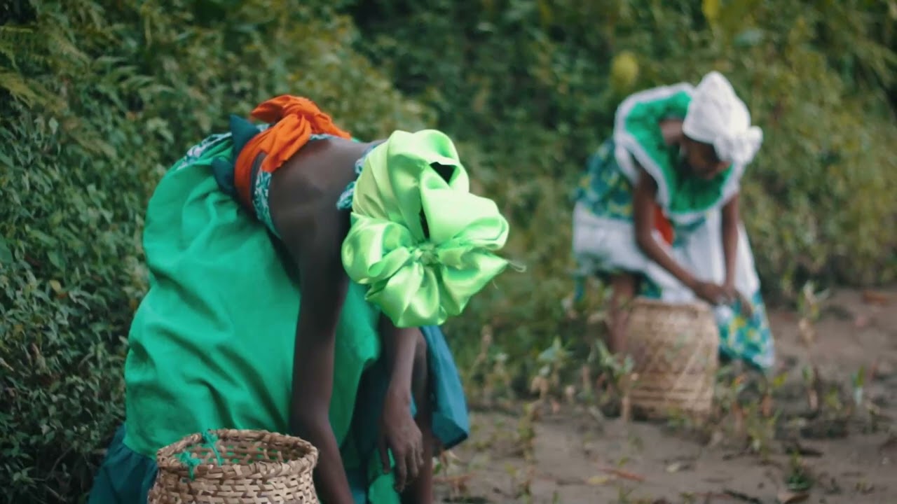 La danza de la Piangua