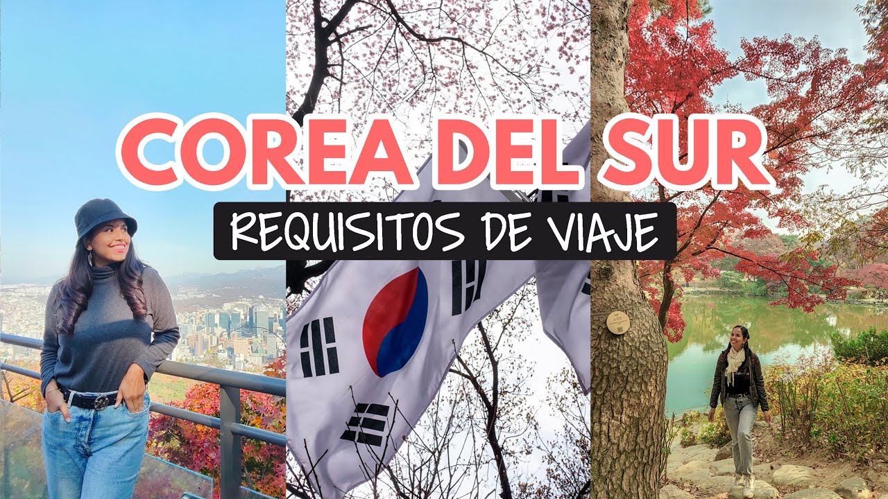 Llegué a Corea del Sur y estos son los requisitos