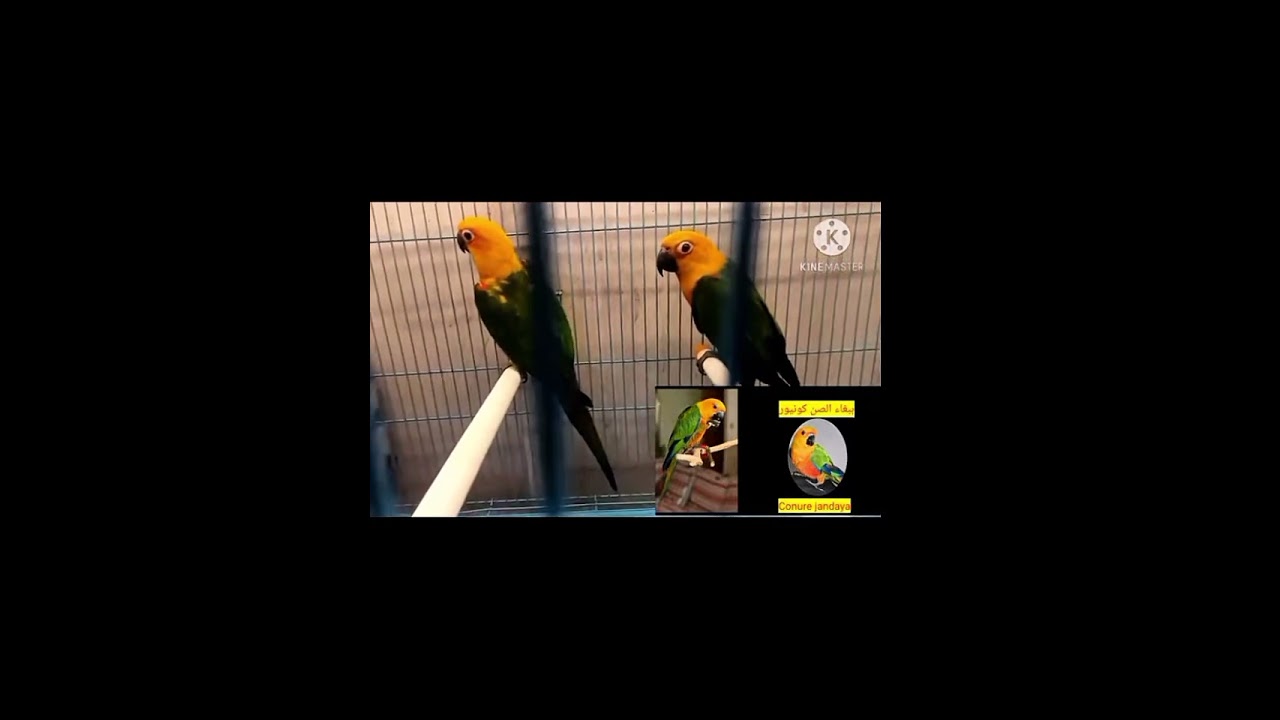 ٢٦ أغسطس ٢٠٢٥