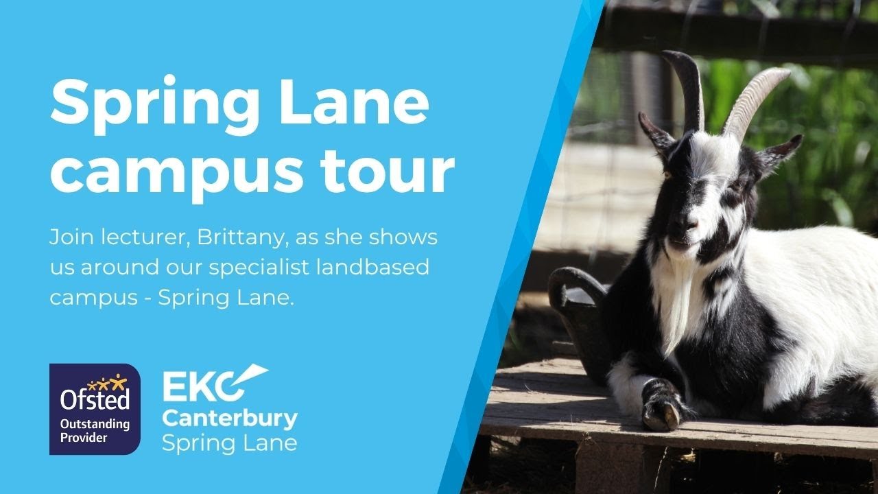 Spring Lane tour | EKC Canterbury College