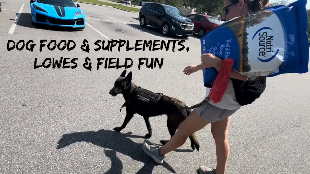 Dog Food, Lowe’s, Field, And Dog Tummy Issues 