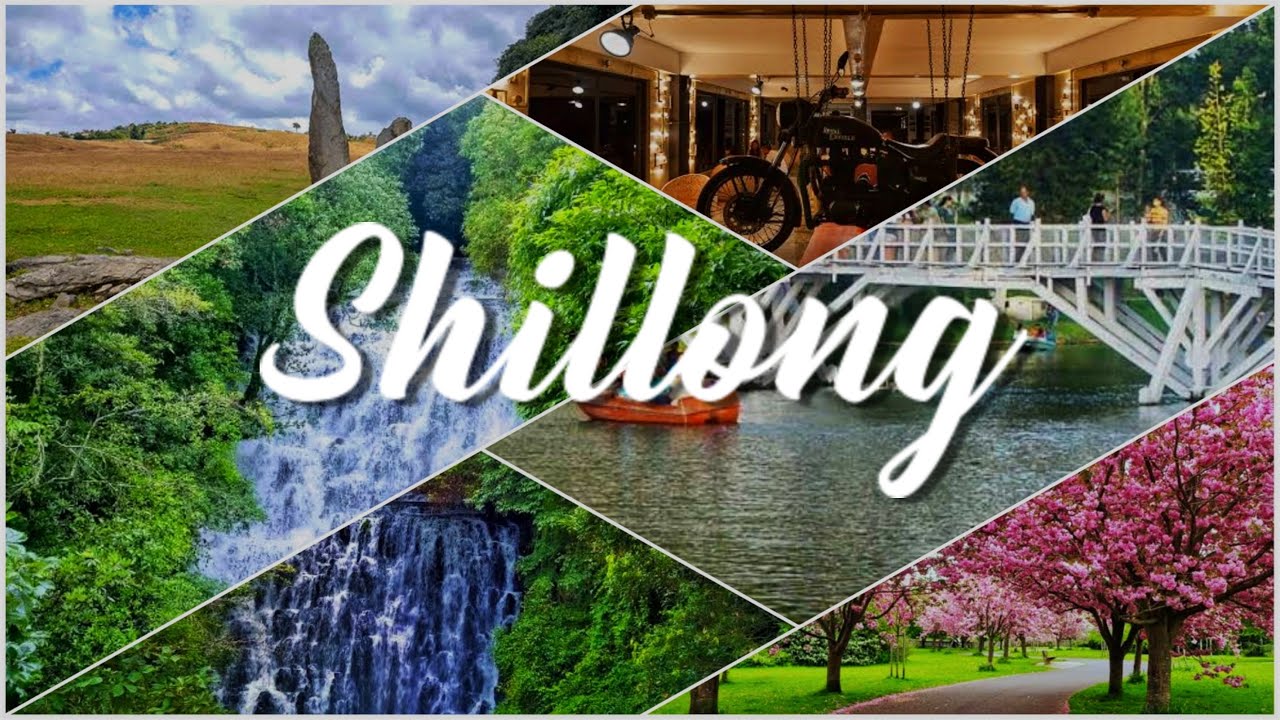 Shillong | part-1 | Cherry blossom festival | Ward lake | elephant falls | ML 05 Cafe |