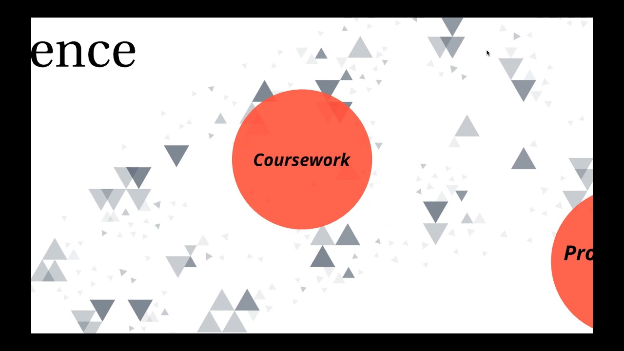 Professional Competence & Ethics- Professionalism Module
