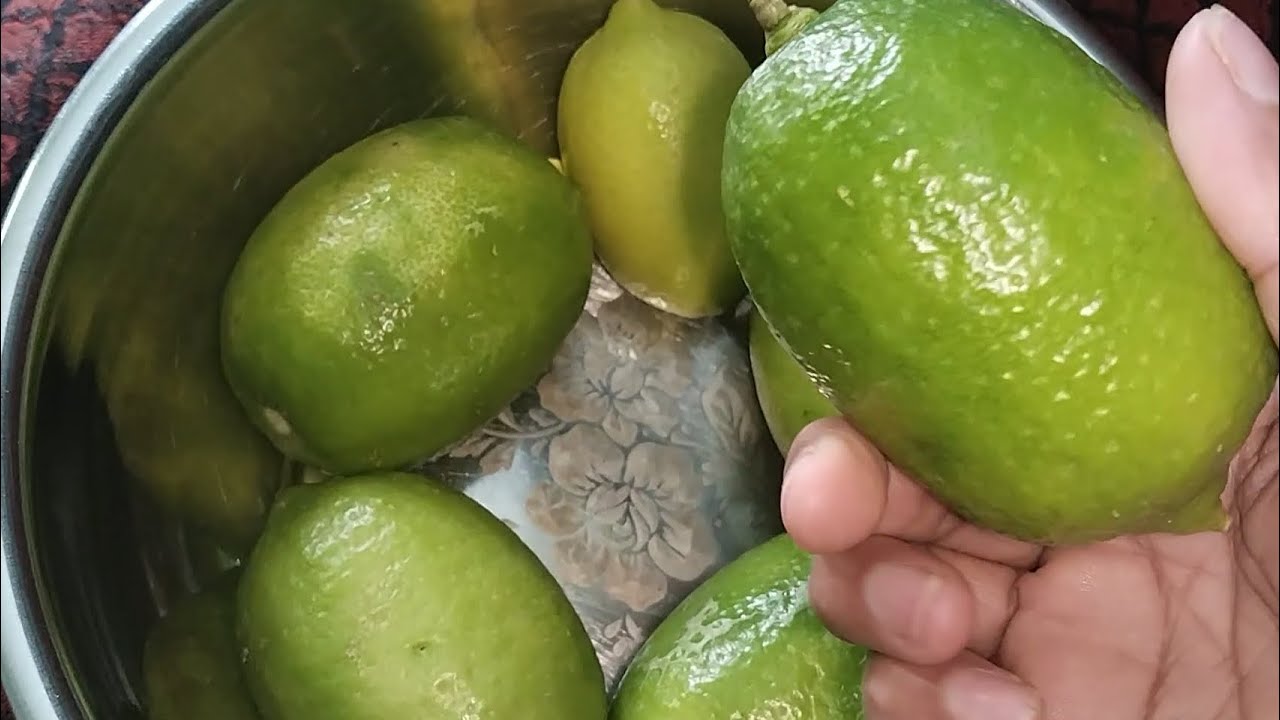মার্কেট করতে এসে বাড়ির গাছের লেবু নিয়ে আসলো নিশিরা।। #fypage #marketing #vlog 