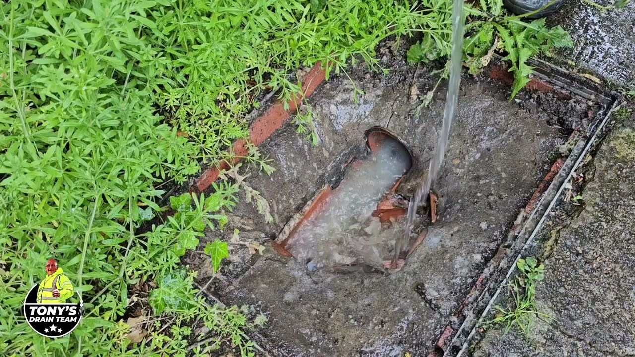 Blocked drain. The prong does it again.