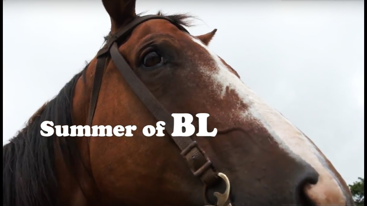 阿蘇エルパティオ牧場・夏 /SUMMER OF BL