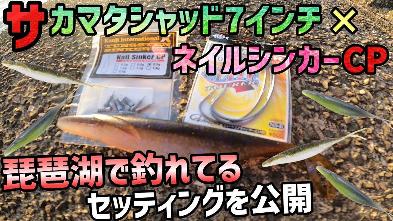 サカマタシャッド7インチの釣れるセッティング方法を詳しく解説！フックの刺し方やネイルシンカーCPを刺す位置！タックルやラインの太さまでdepsサカマタ7インチの威力を発揮させる【琵琶湖バス釣り】