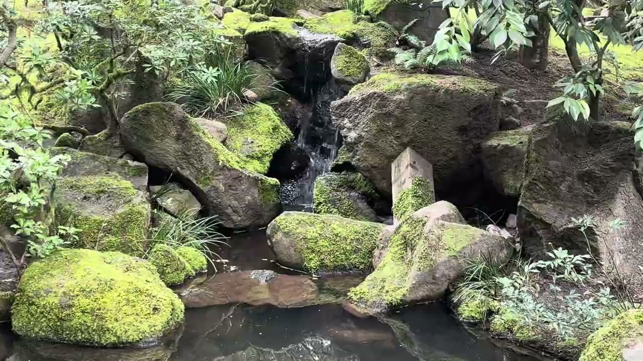 Discover Serene Japanese Gardens