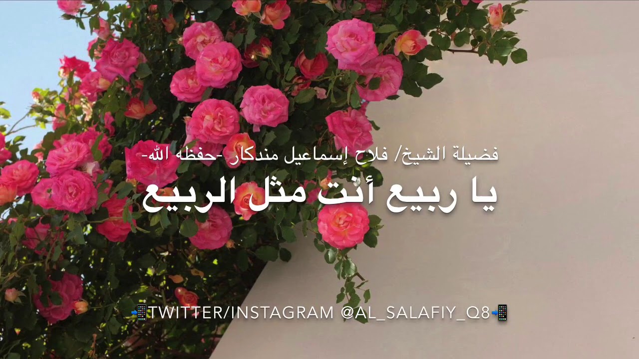 يا ربيع.. أنت مثل الربيع | فضيلة الشيخ/ فلاح إسماعيل مندكار -حفظه الله-