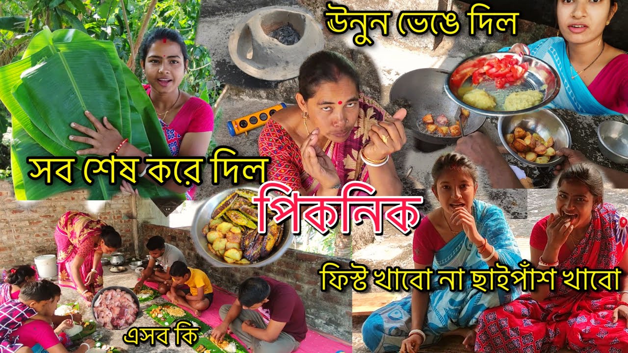 হঠাৎ কেন পিকনিক করলাম | ঊনুন ভেঙে দিল | কোথায় ফিস্ট করলাম | ফিস্ট না ছাইপাঁশ