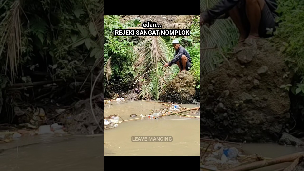 niat mancing nilem babon di luar dugaan