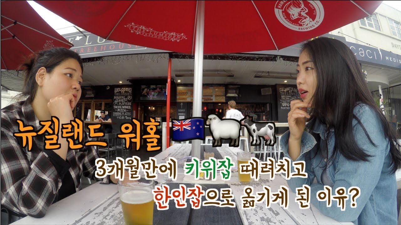 [KIWILIFE]New Zealand Working Holiday 뉴질랜드 워홀🇳🇿* 키위잡 그만두고 한인잡으로 옮기게된 제니퍼의 사연