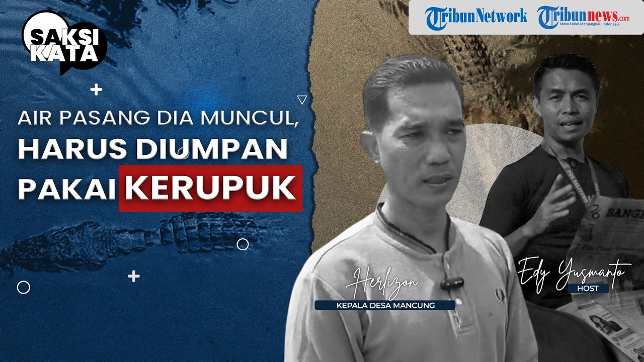 Tak Lagi Makan Daging, Kisah Unik Buaya Pemakan Kerupuk Sungai Mancung || Saksi Kata