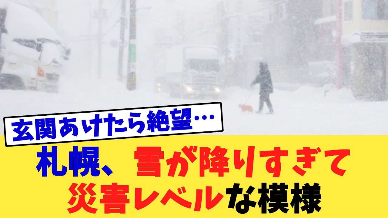 札幌、雪が降りすぎて災害レベルな模様