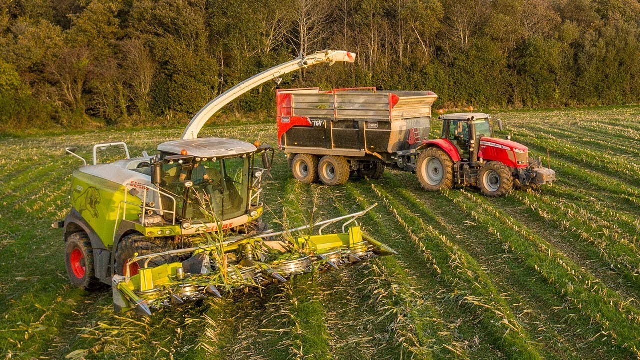 ENSILAGE 2021 -  CLAAS Jaguar 950 !  🌽