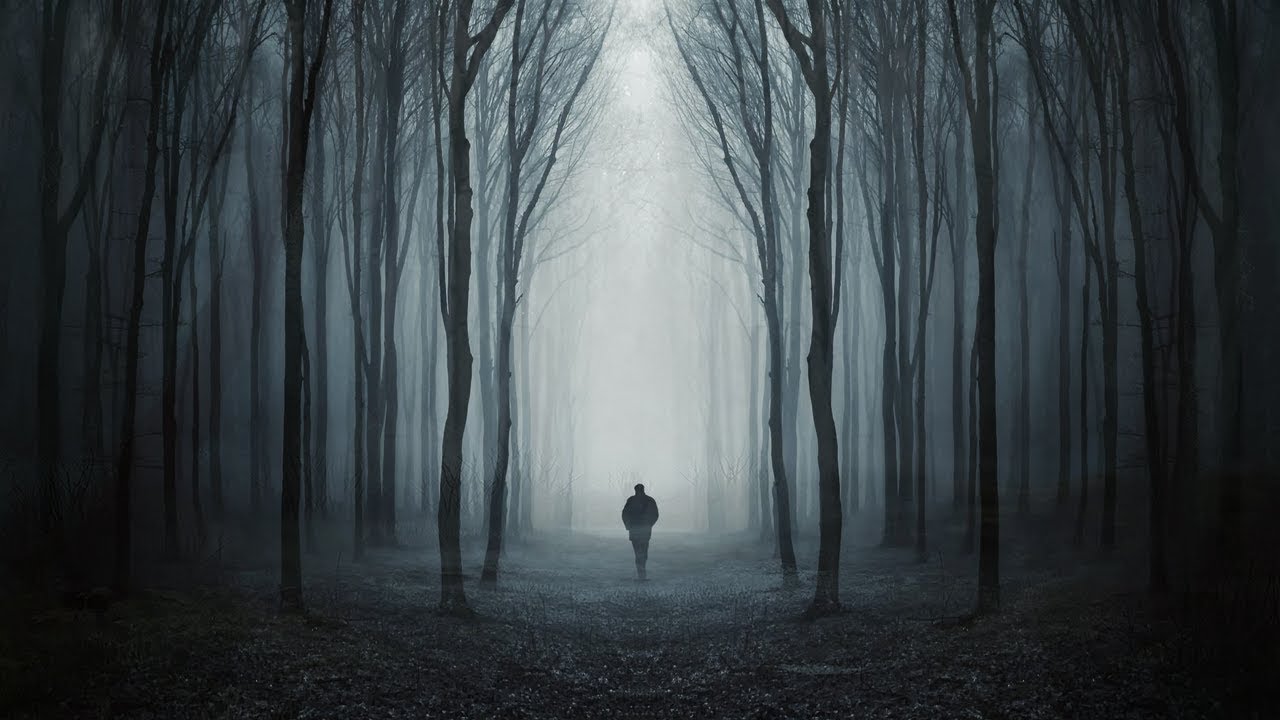 My Son Brought Something Home From The Woods | Paranormal Storytelling