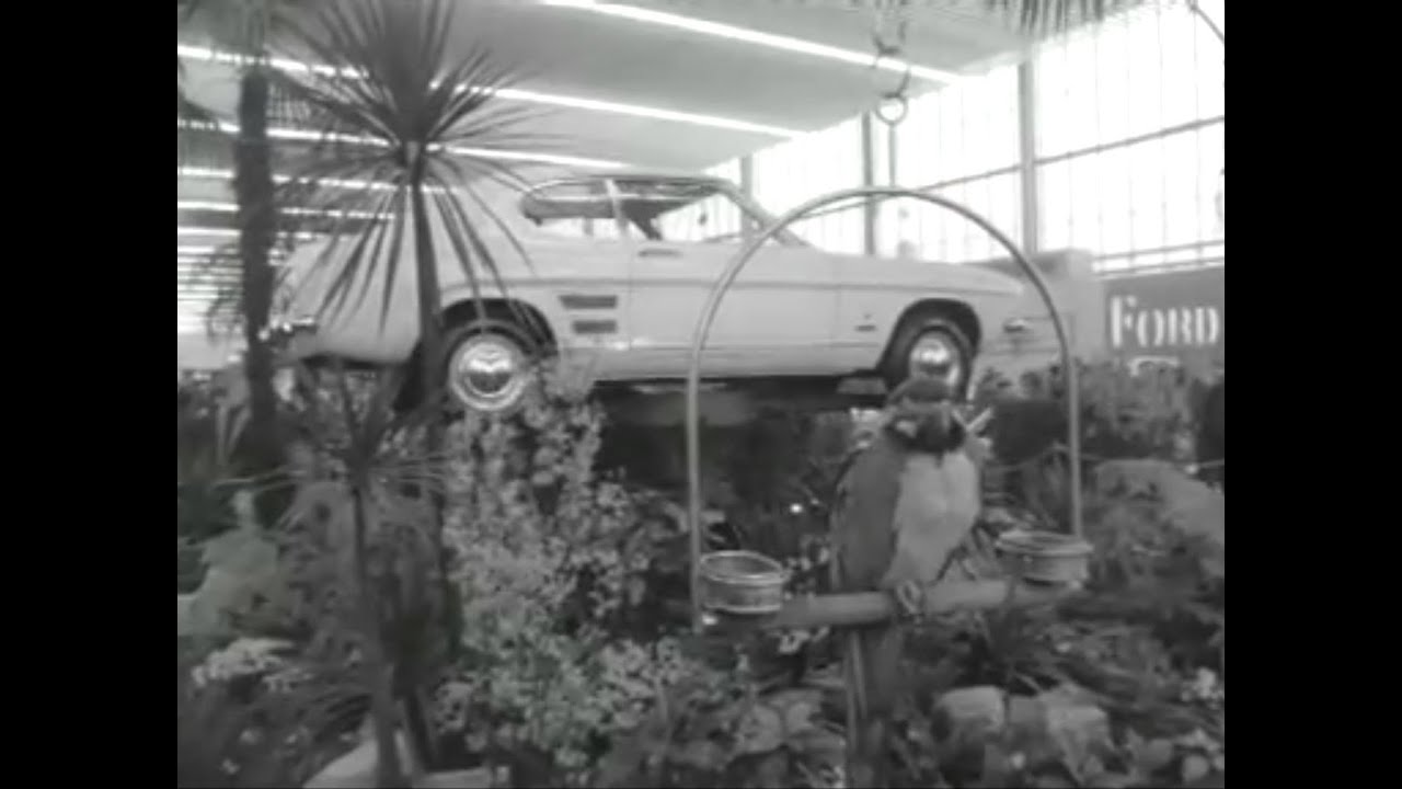 Ford Capri op Auto-Rai (1969)