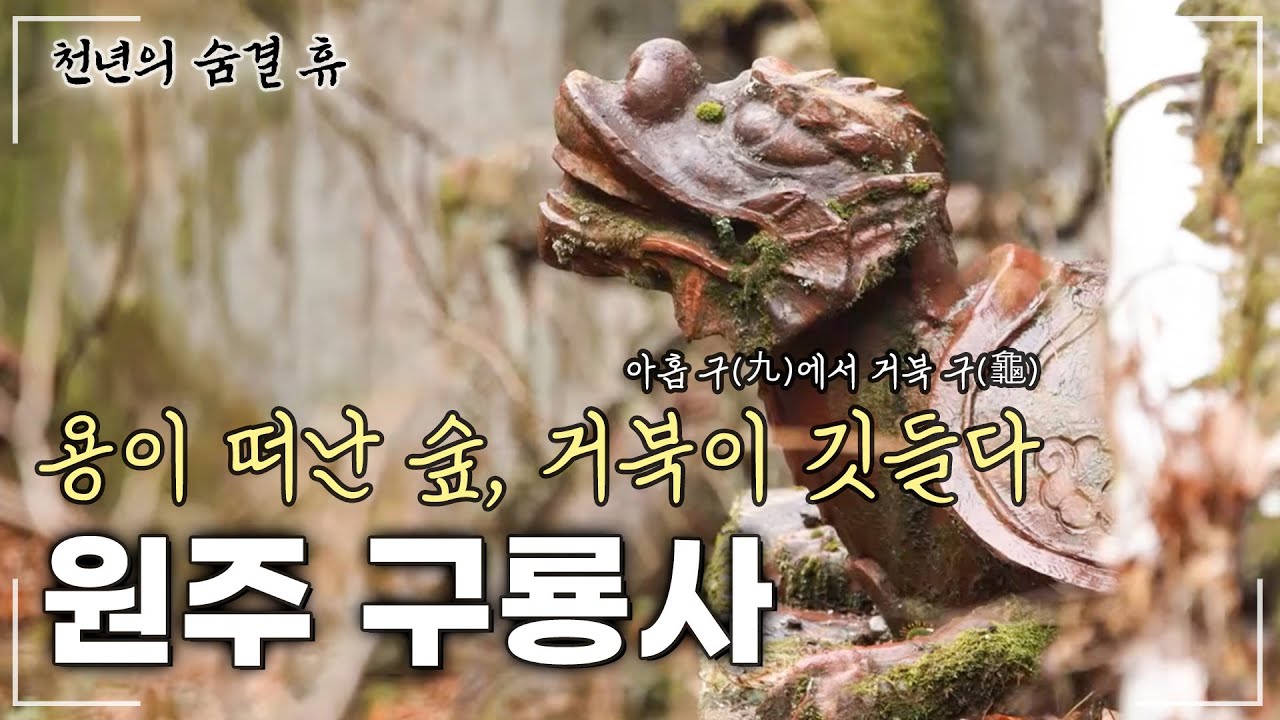 아홉 용이 떠난 자리에 깃든 고요, 원주 치악산 구룡사가 품은 시간 | 천년의 숨결 휴 (58회)