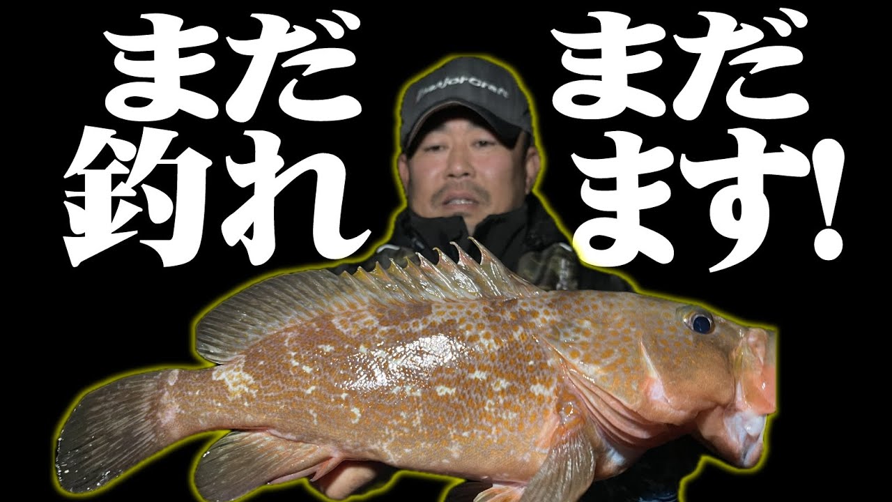 【熱解説!】冬アコウから来年につなげる!