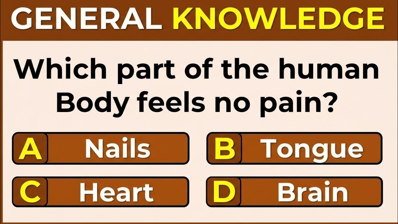 🔥 AMAZING GENERAL KNOWLEDGE QUESTIONS TO BOOST YOUR BRAIN 🧠✨ | THINK AND LEARN