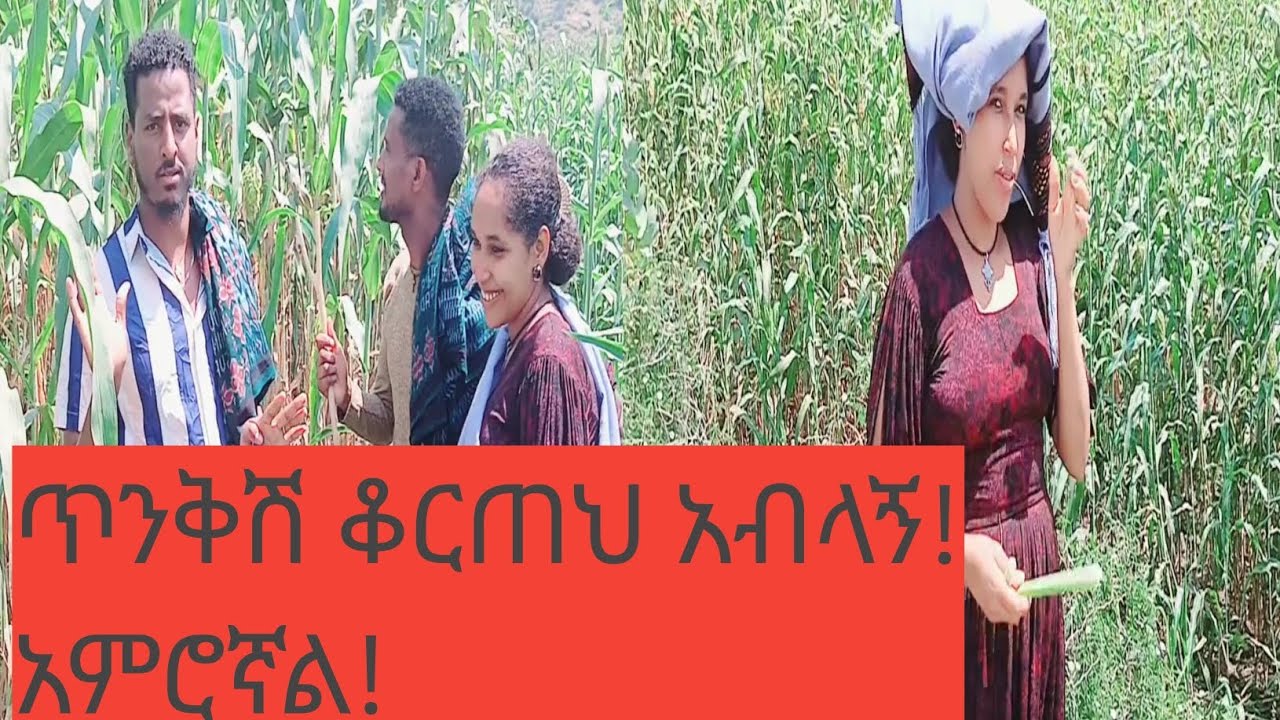 #ከእርሻው