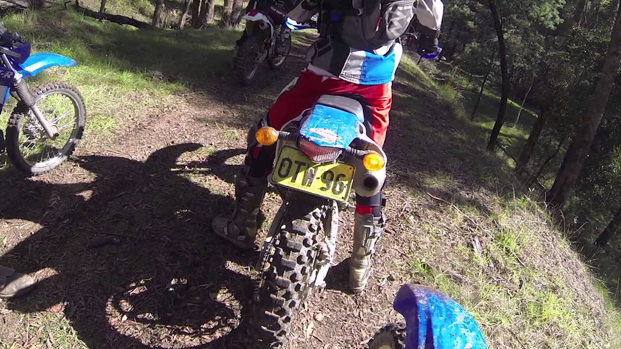 Lucyvale 2014