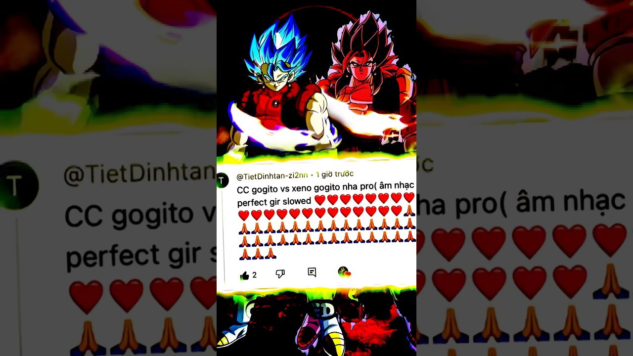 CC Gogito vs Xeno Gogito