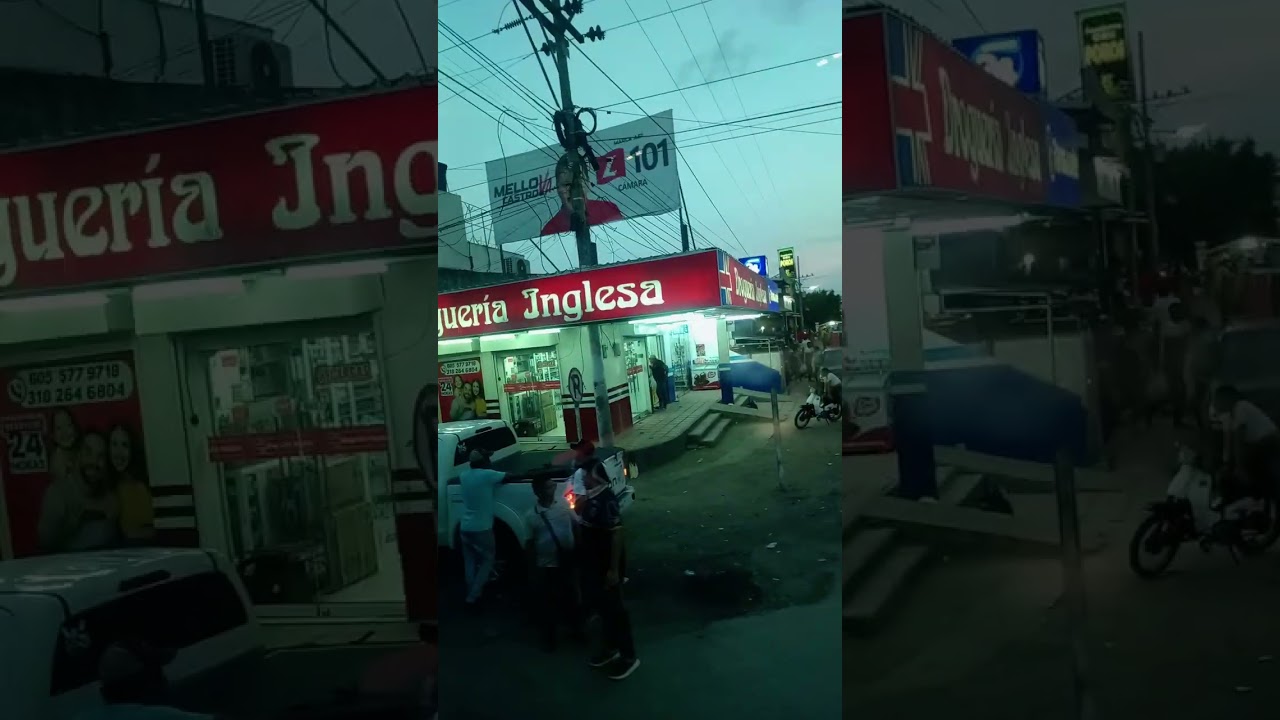 Bosconia,bosconia