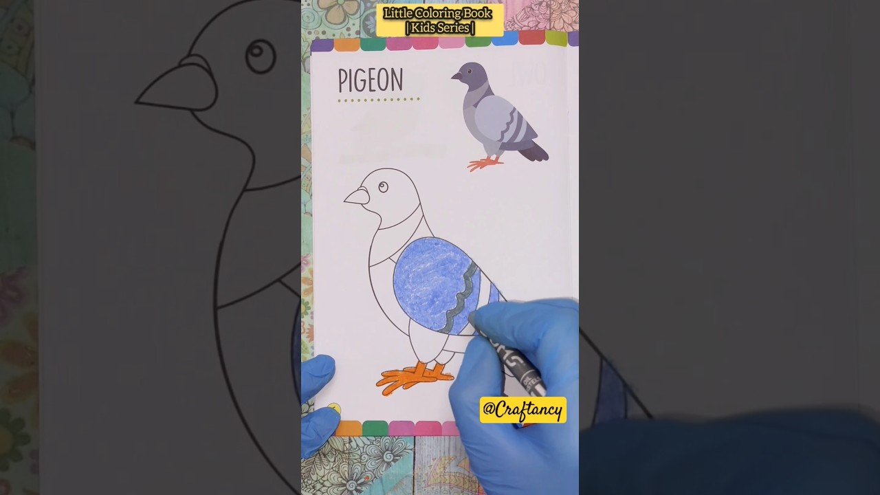 Coloring Pigeon 🐦 with Oil Pastels Colors | Kids Series Little Coloring Book