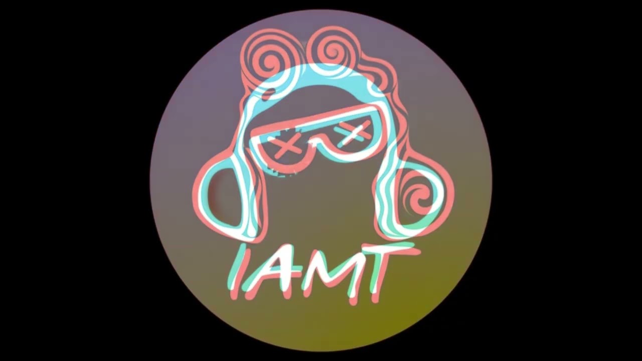 iamT (feat analumax) - wonderful disaster