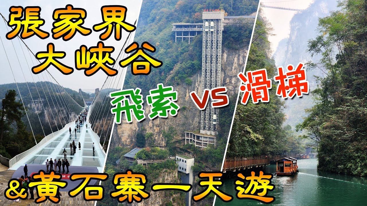 張家界大峽谷玻璃橋驚險體驗！挑戰飛索 vs. 滑梯下山？壯麗美景與森林公園探險 | 中國18天之旅 EP5