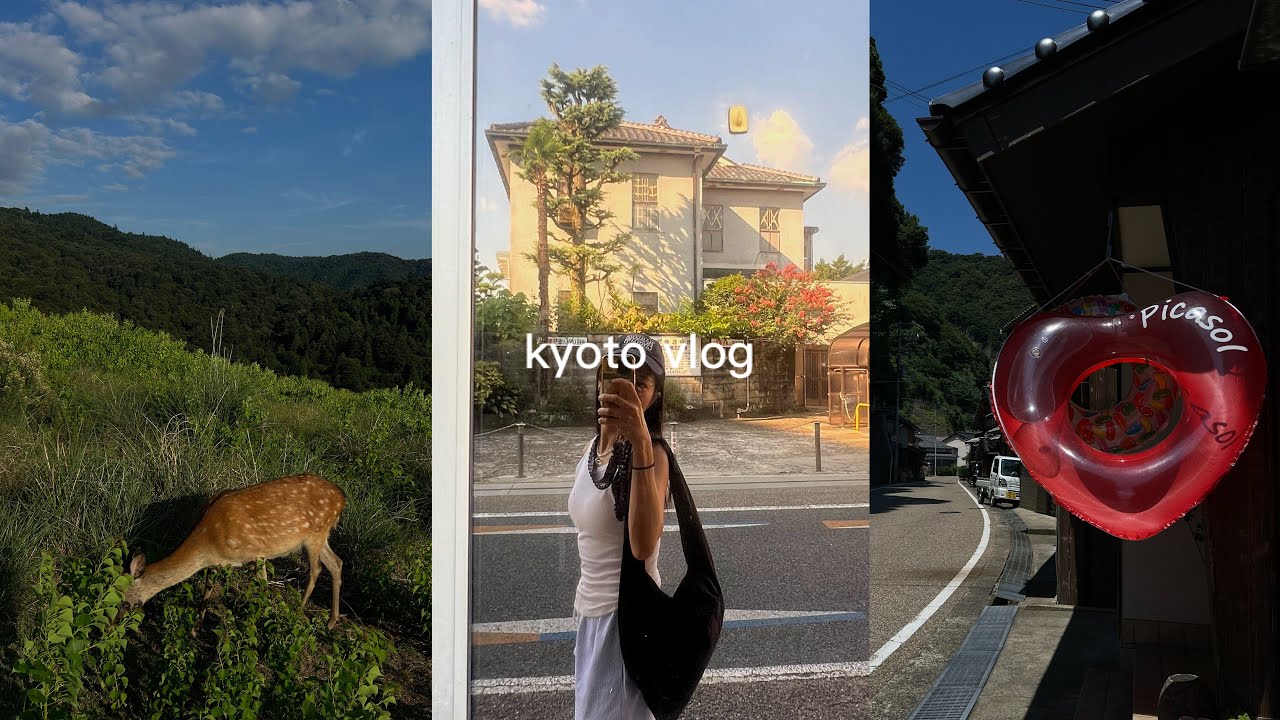 solo in kyoto 🍵 summer in japan, uji, nara, mt. wakakusa, amanohashidate, ine no funaya 