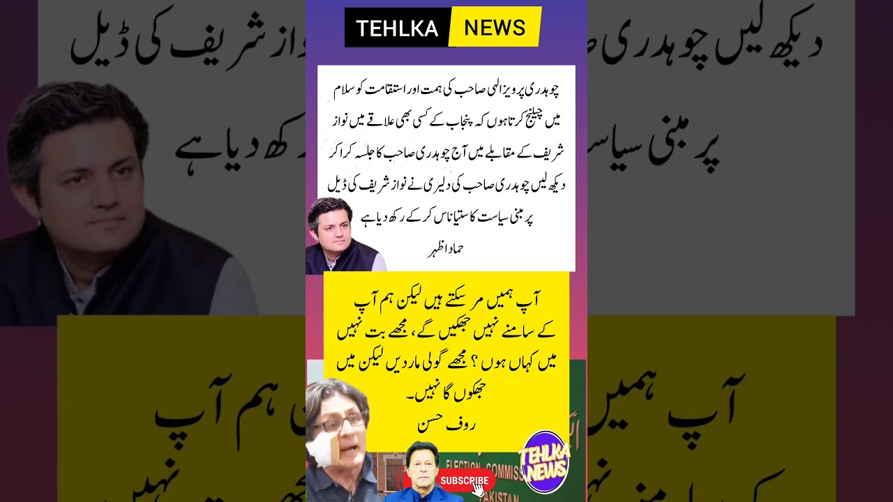 Rauf Hassan #imrankhan
