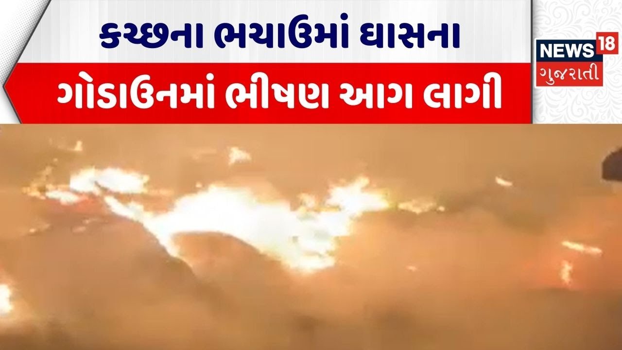 Kutch Fire Incident News | કચ્છના ભચાઉમાં ઘાસના ગોડાઉનમાં ભીષણ આગ લાગી |Fire Breakout |Gujarati News